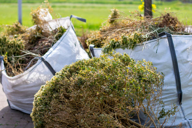 Full-Service Junk Removal in St John, IN